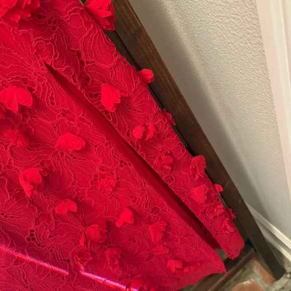 Red Floral Appliqué Lace Midi Dress – NWT – Size 8 - Picture 13 of 15